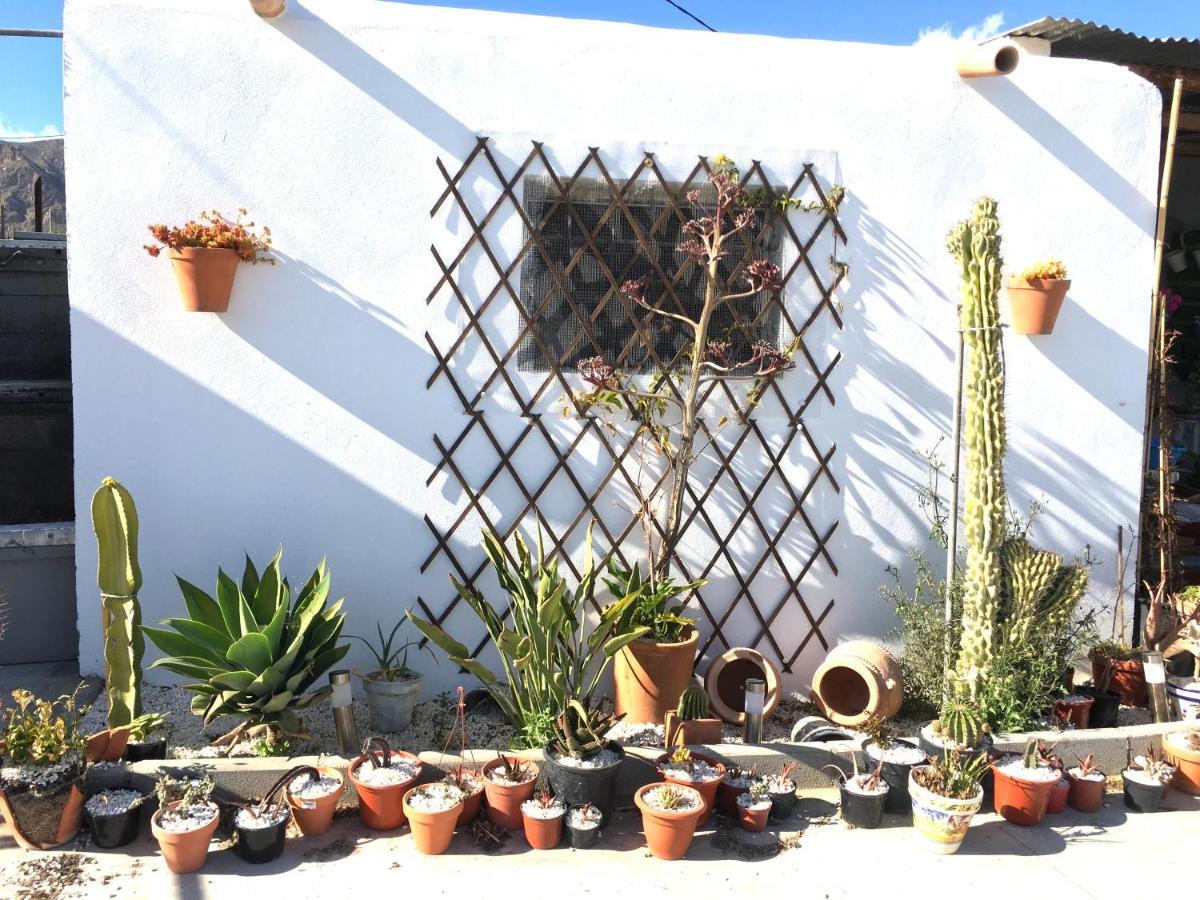 Villa Aurora Nijar Parque Natural Cabo Gata ภายนอก รูปภาพ