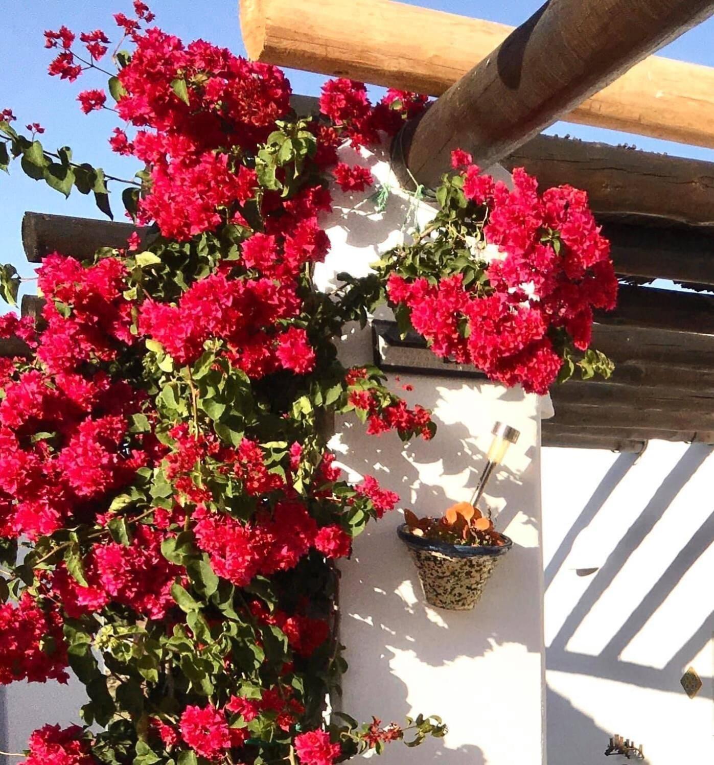 Villa Aurora Nijar Parque Natural Cabo Gata ภายนอก รูปภาพ